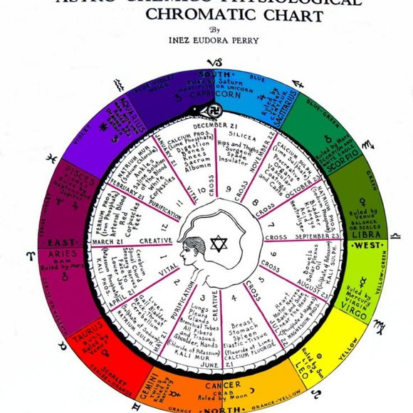 Meet your Posher, Posh - Picture 4 of 14